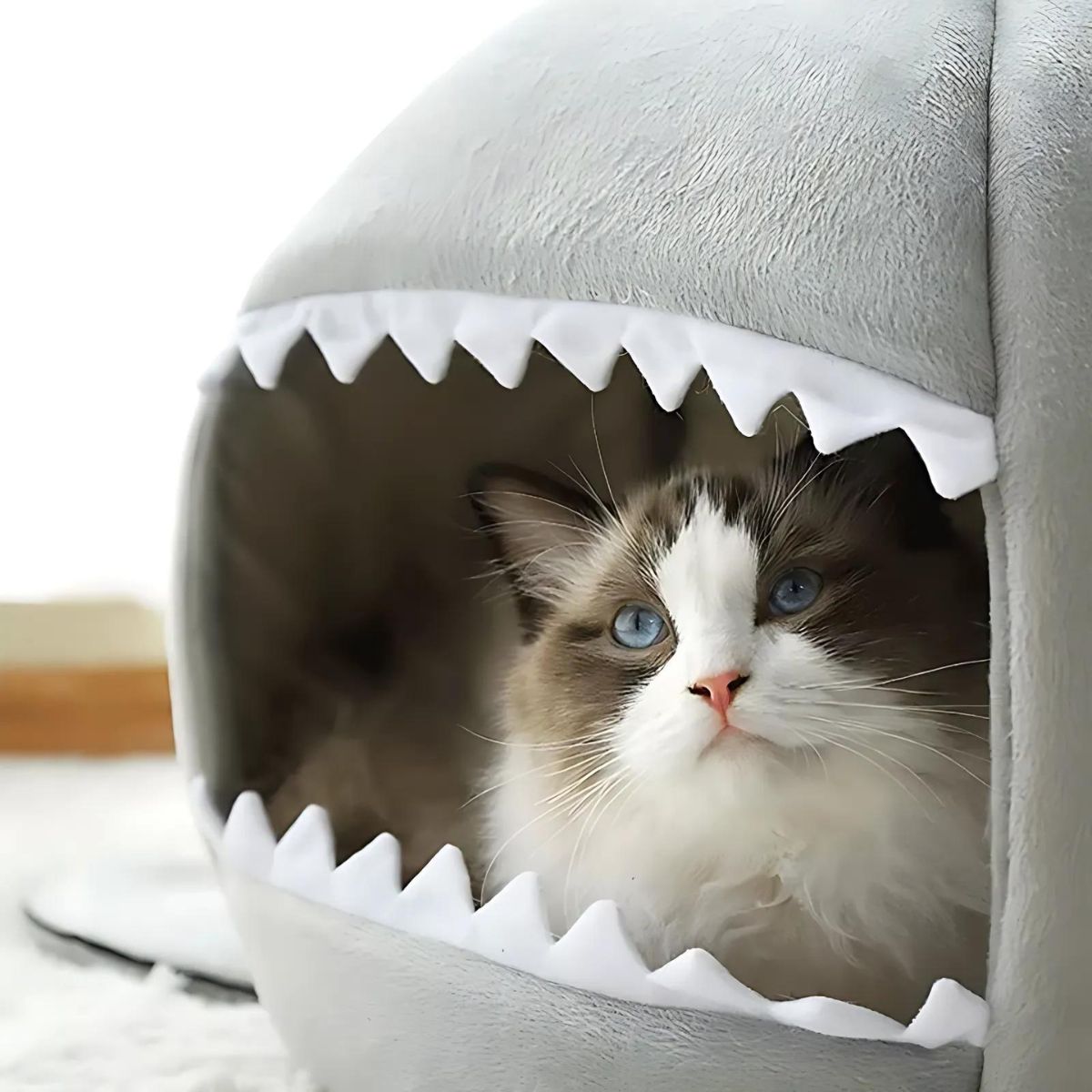Casa tipo Cama para Mascota Perros Y Gatos Forma De Tiburón