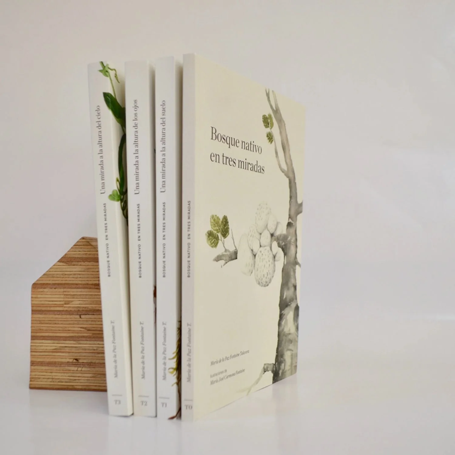 Libros Bosque Nativo En Tres Miradas (set De 4 Libros)