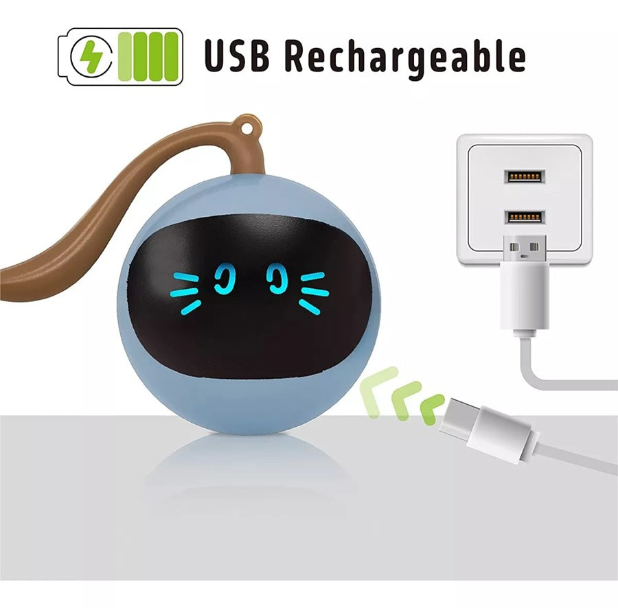 Juguete Gato Interactivo Pelota Inteligente Recargable Usb