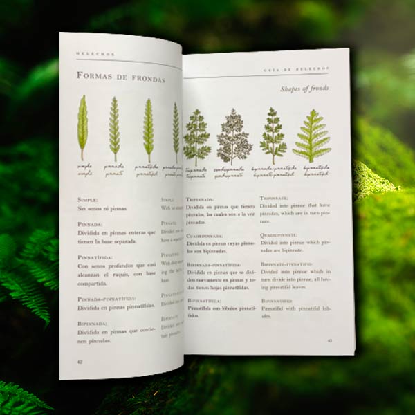 Libro Helechos - Ferns - Del Bosque Húmedo Templado Patagónico en Huilo Huilo Segunda Edición