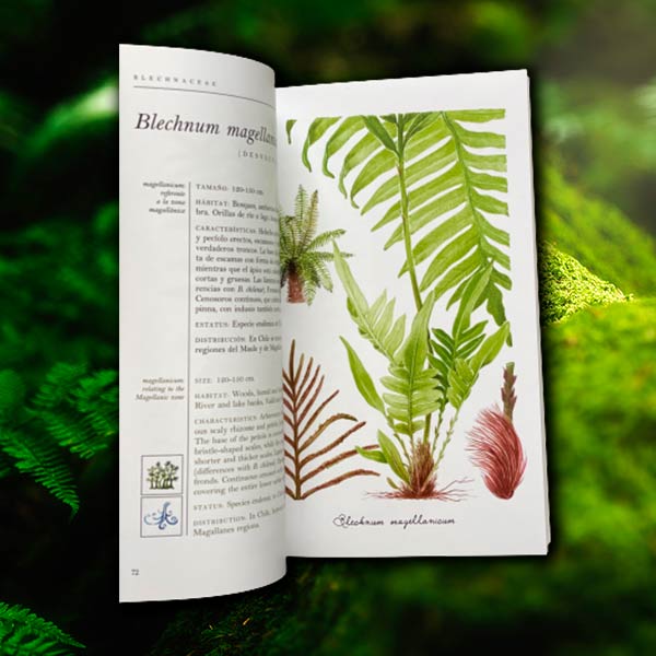 Libro Helechos - Ferns - Del Bosque Húmedo Templado Patagónico en Huilo Huilo Segunda Edición