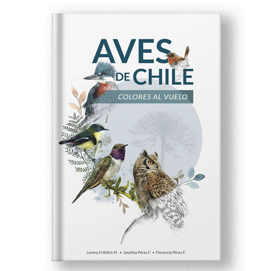 Libro Aves De Chile Colores Al Vuelo